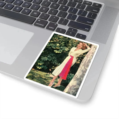 Terry Moore #616 (Vintage Female Icon) STICKER Vinyl Kiss-Cut Decal - The Sticker Space