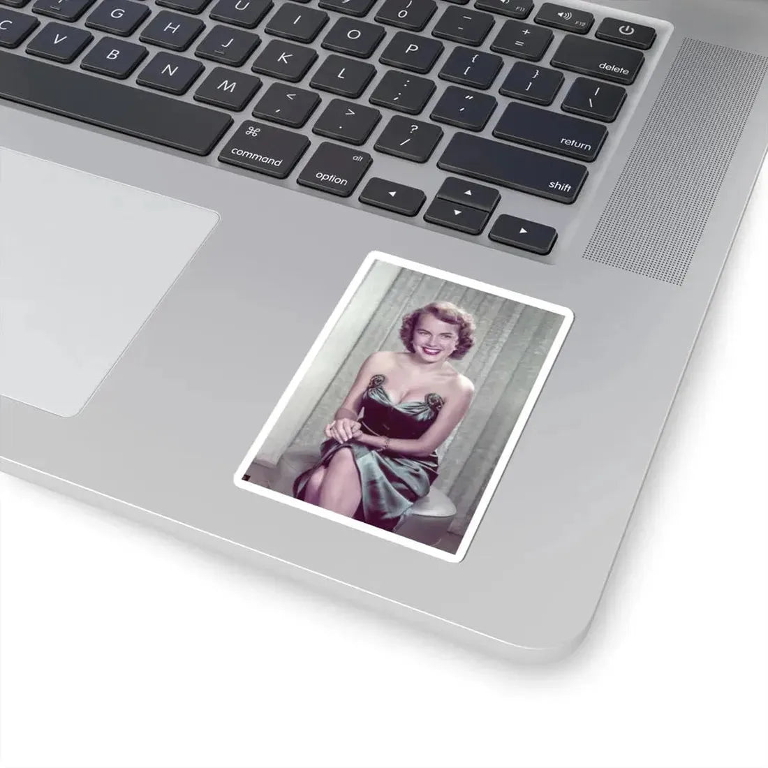 Terry Moore #617 (Vintage Female Icon) STICKER Vinyl Kiss-Cut Decal - The Sticker Space