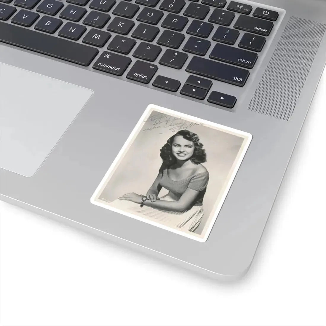 Terry Moore #619 (Vintage Female Icon) STICKER Vinyl Kiss-Cut Decal - The Sticker Space