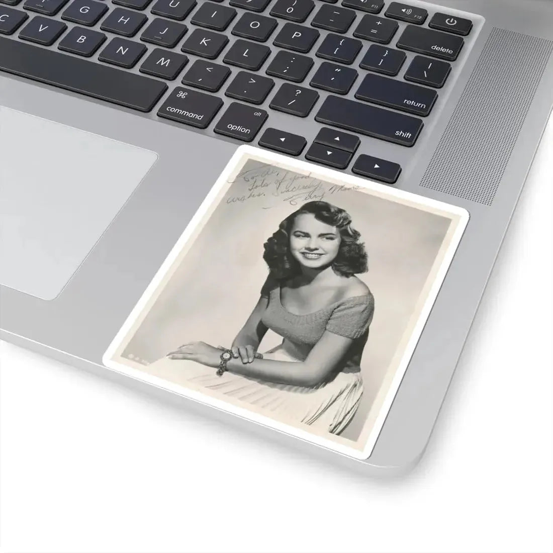 Terry Moore #619 (Vintage Female Icon) STICKER Vinyl Kiss-Cut Decal - The Sticker Space