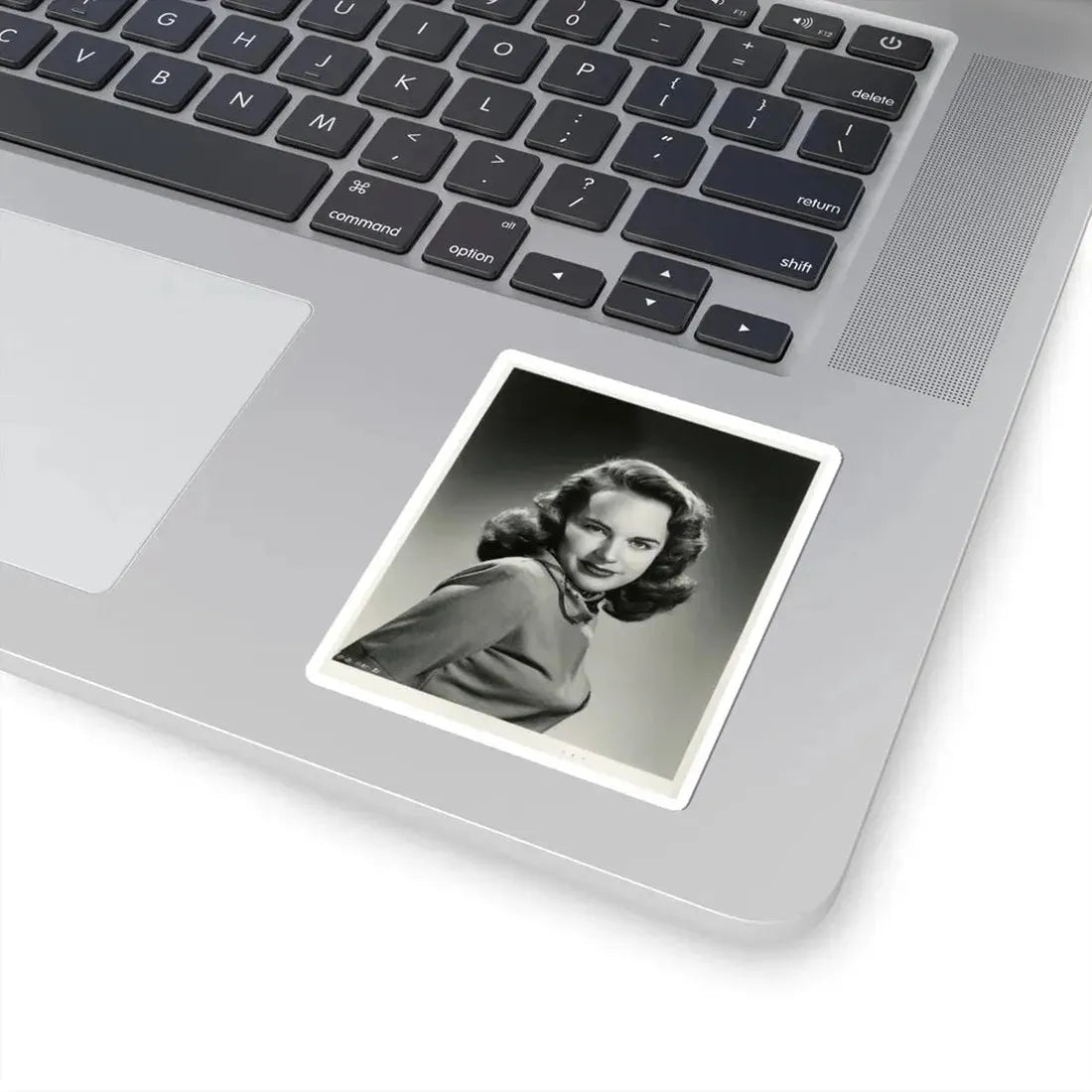 Terry Moore #629 (Vintage Female Icon) STICKER Vinyl Kiss-Cut Decal - The Sticker Space