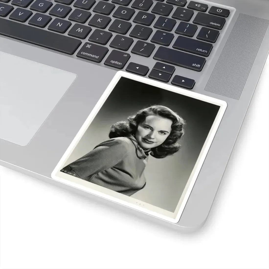 Terry Moore #629 (Vintage Female Icon) STICKER Vinyl Kiss-Cut Decal - The Sticker Space