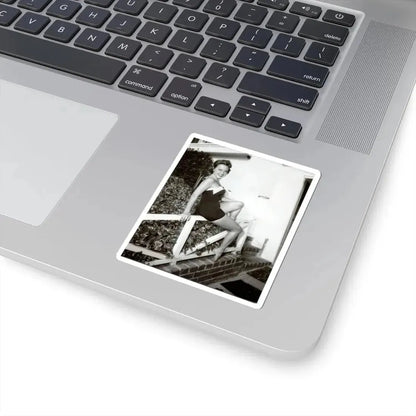 Terry Moore #655 (Vintage Female Icon) STICKER Vinyl Kiss-Cut Decal - The Sticker Space