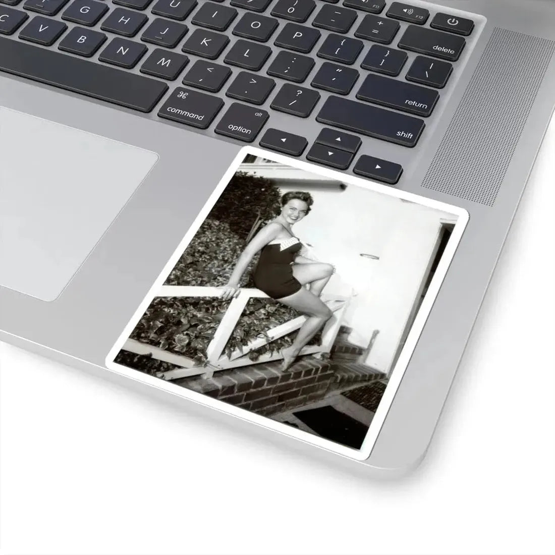 Terry Moore #655 (Vintage Female Icon) STICKER Vinyl Kiss-Cut Decal - The Sticker Space