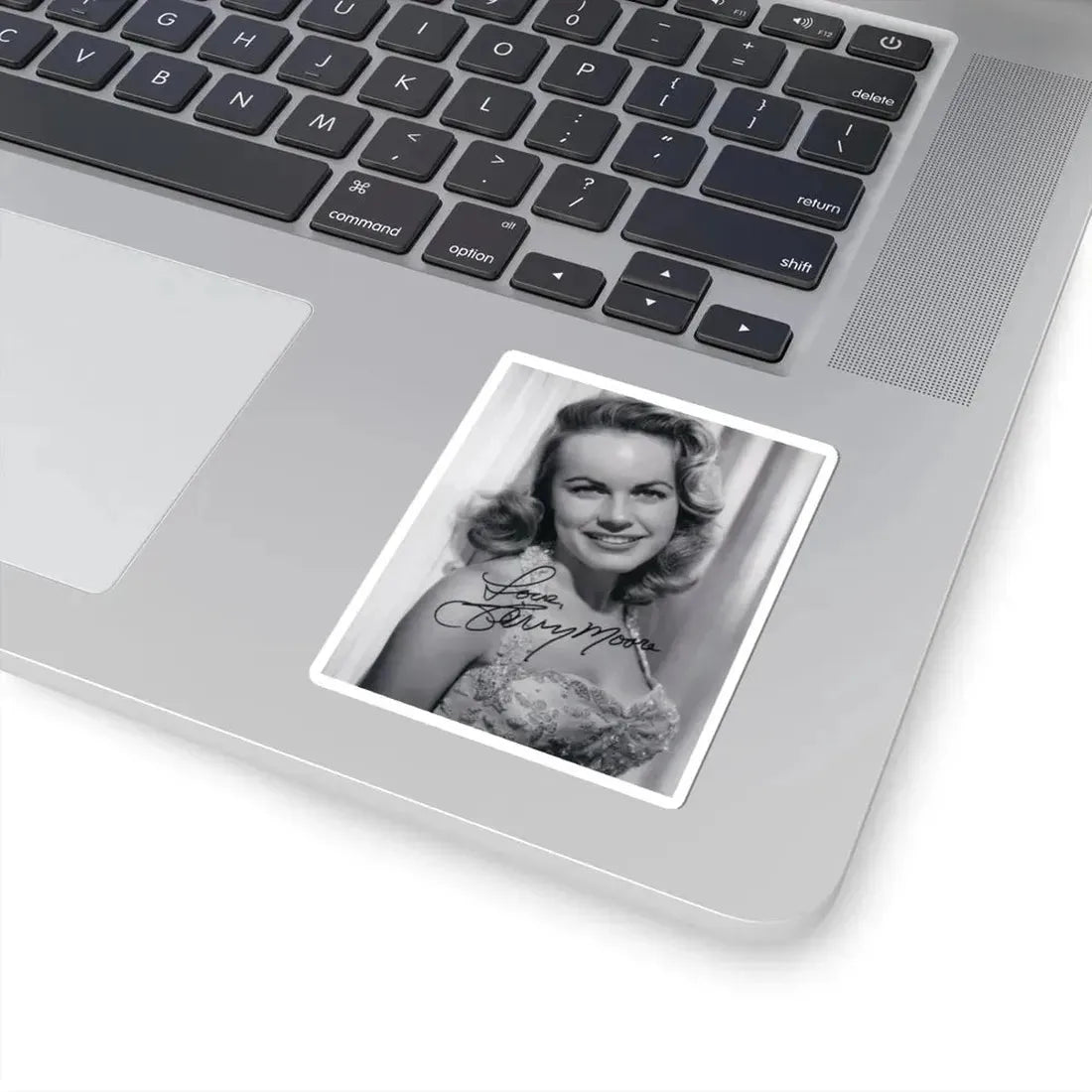 Terry Moore #659 (Vintage Female Icon) STICKER Vinyl Kiss-Cut Decal - The Sticker Space