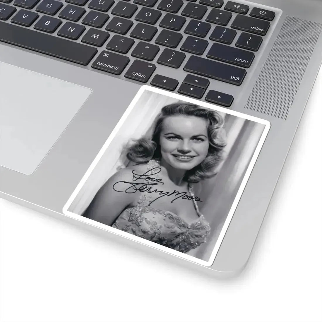 Terry Moore #659 (Vintage Female Icon) STICKER Vinyl Kiss-Cut Decal - The Sticker Space