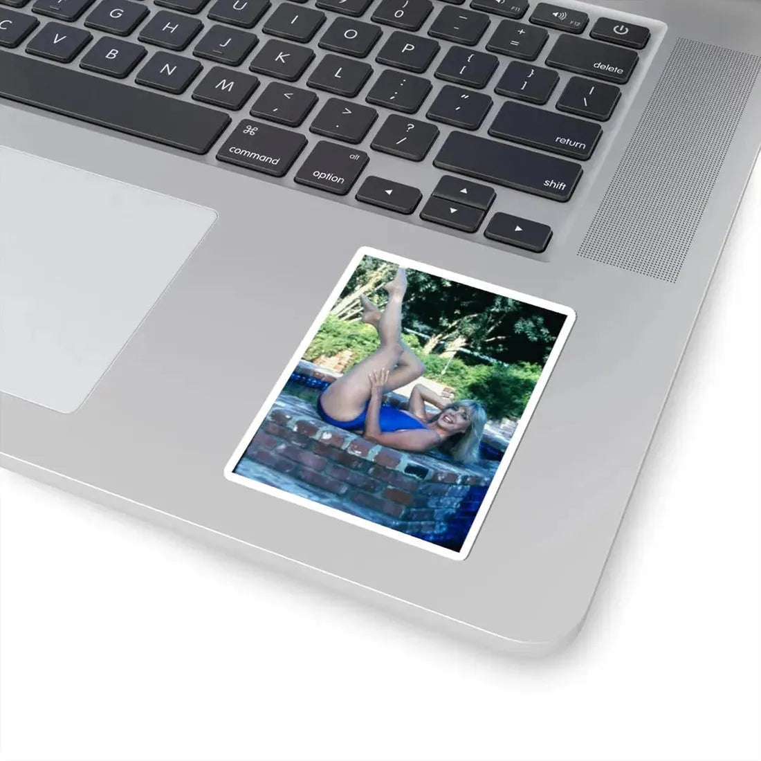 Terry Moore #6641 (Vintage Female Icon) STICKER Vinyl Kiss-Cut Decal - The Sticker Space