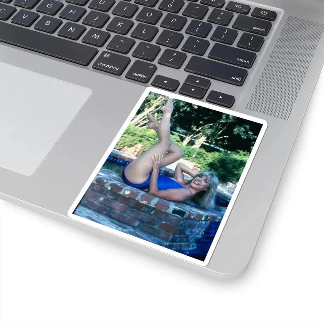 Terry Moore #6641 (Vintage Female Icon) STICKER Vinyl Kiss-Cut Decal - The Sticker Space