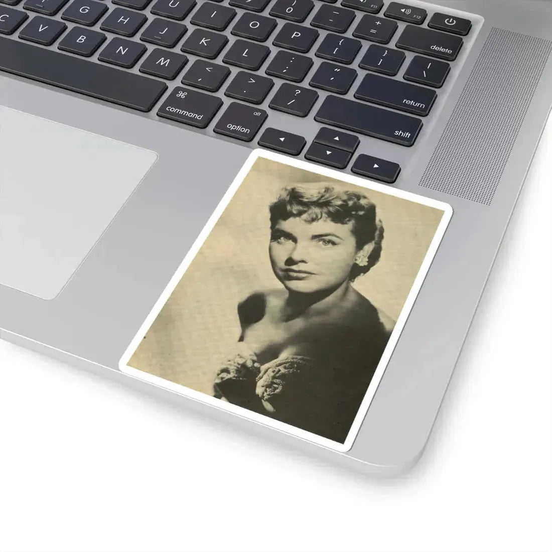 Terry Moore #667 (Vintage Female Icon) STICKER Vinyl Kiss-Cut Decal - The Sticker Space