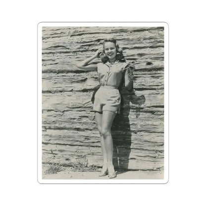 Terry Moore #668 (Vintage Female Icon) STICKER Vinyl Kiss-Cut Decal 4 Inch White - The Sticker Space