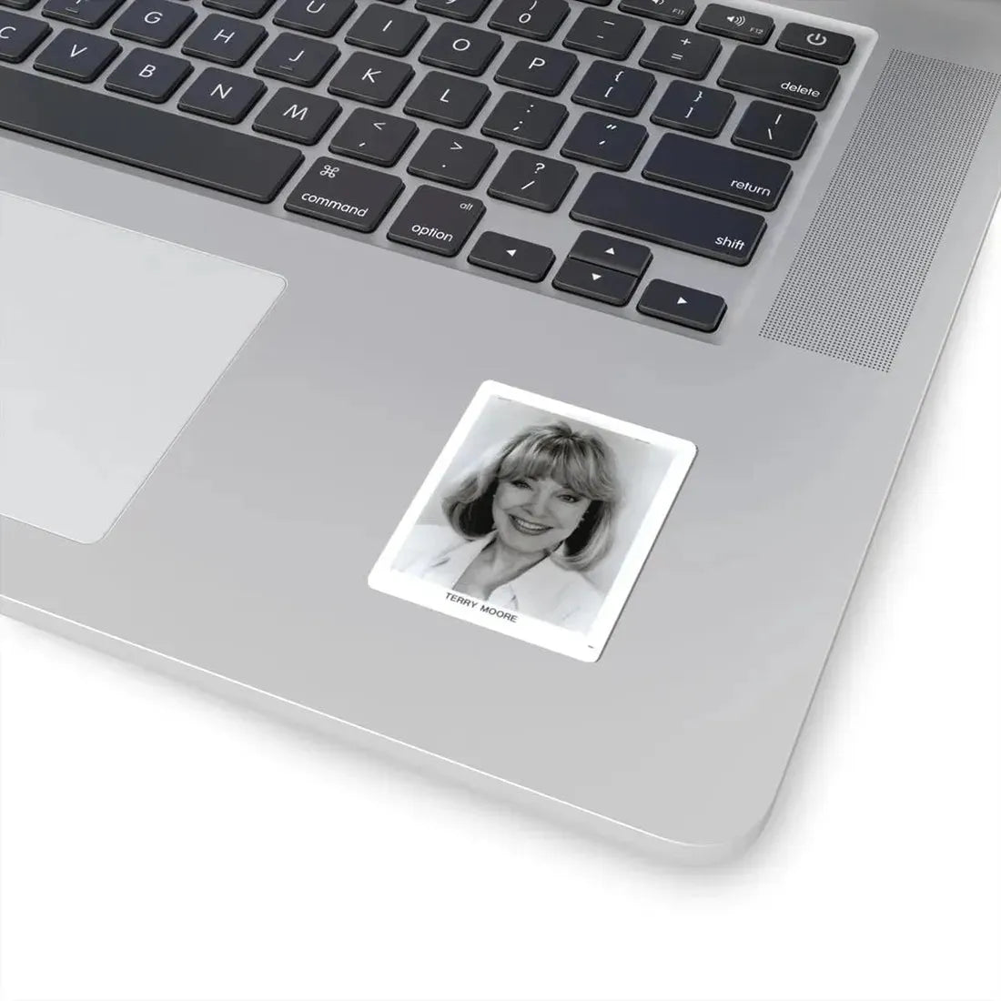 Terry Moore #670 (Vintage Female Icon) STICKER Vinyl Kiss-Cut Decal - The Sticker Space