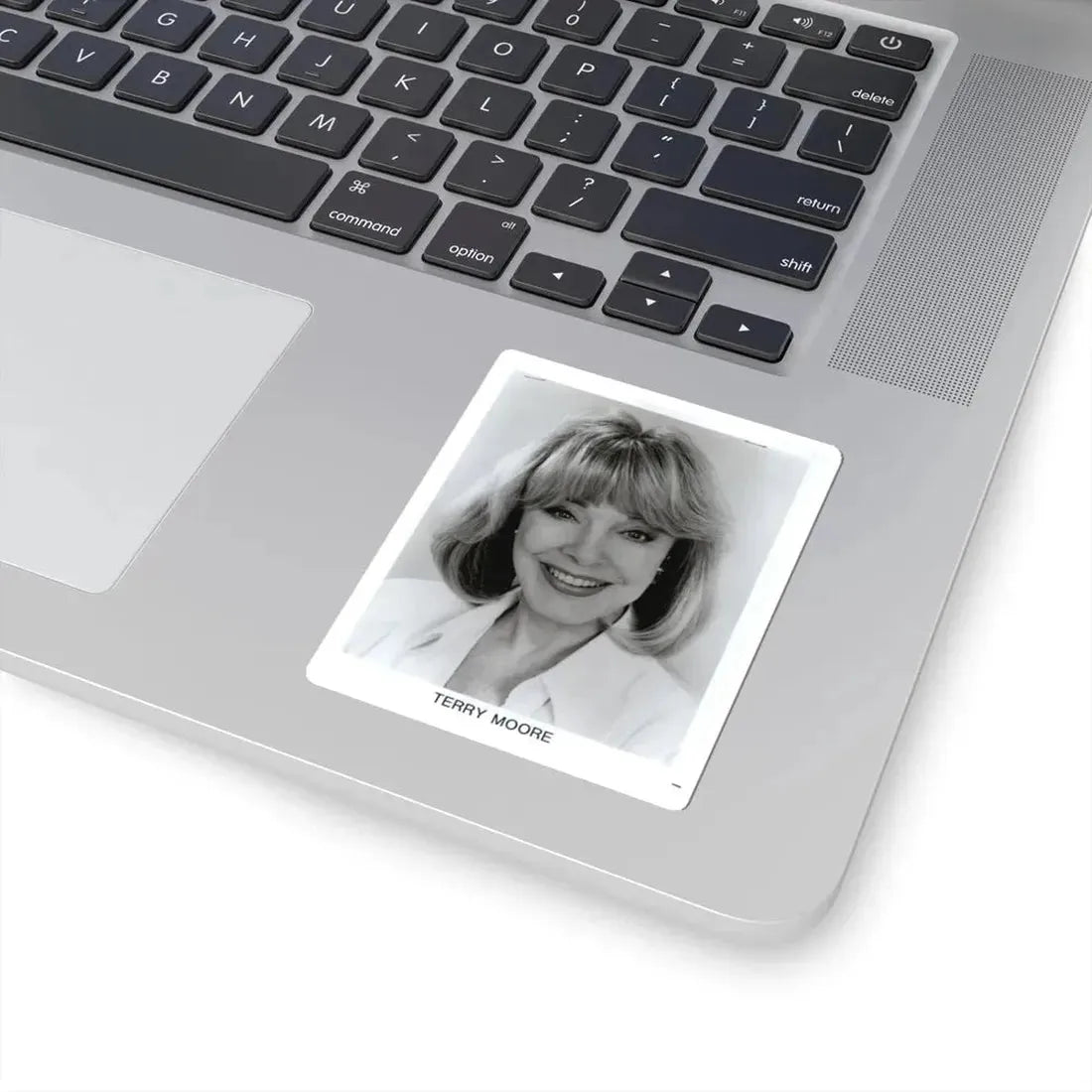 Terry Moore #670 (Vintage Female Icon) STICKER Vinyl Kiss-Cut Decal - The Sticker Space