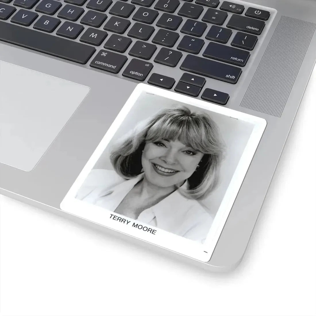 Terry Moore #670 (Vintage Female Icon) STICKER Vinyl Kiss-Cut Decal - The Sticker Space