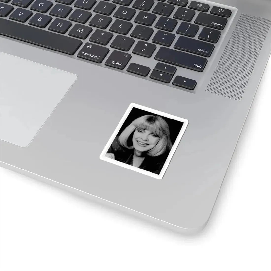 Terry Moore #672 (Vintage Female Icon) STICKER Vinyl Kiss-Cut Decal - The Sticker Space