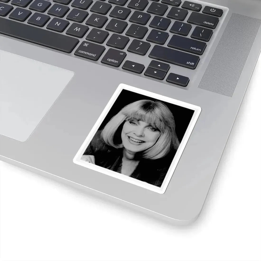 Terry Moore #672 (Vintage Female Icon) STICKER Vinyl Kiss-Cut Decal - The Sticker Space