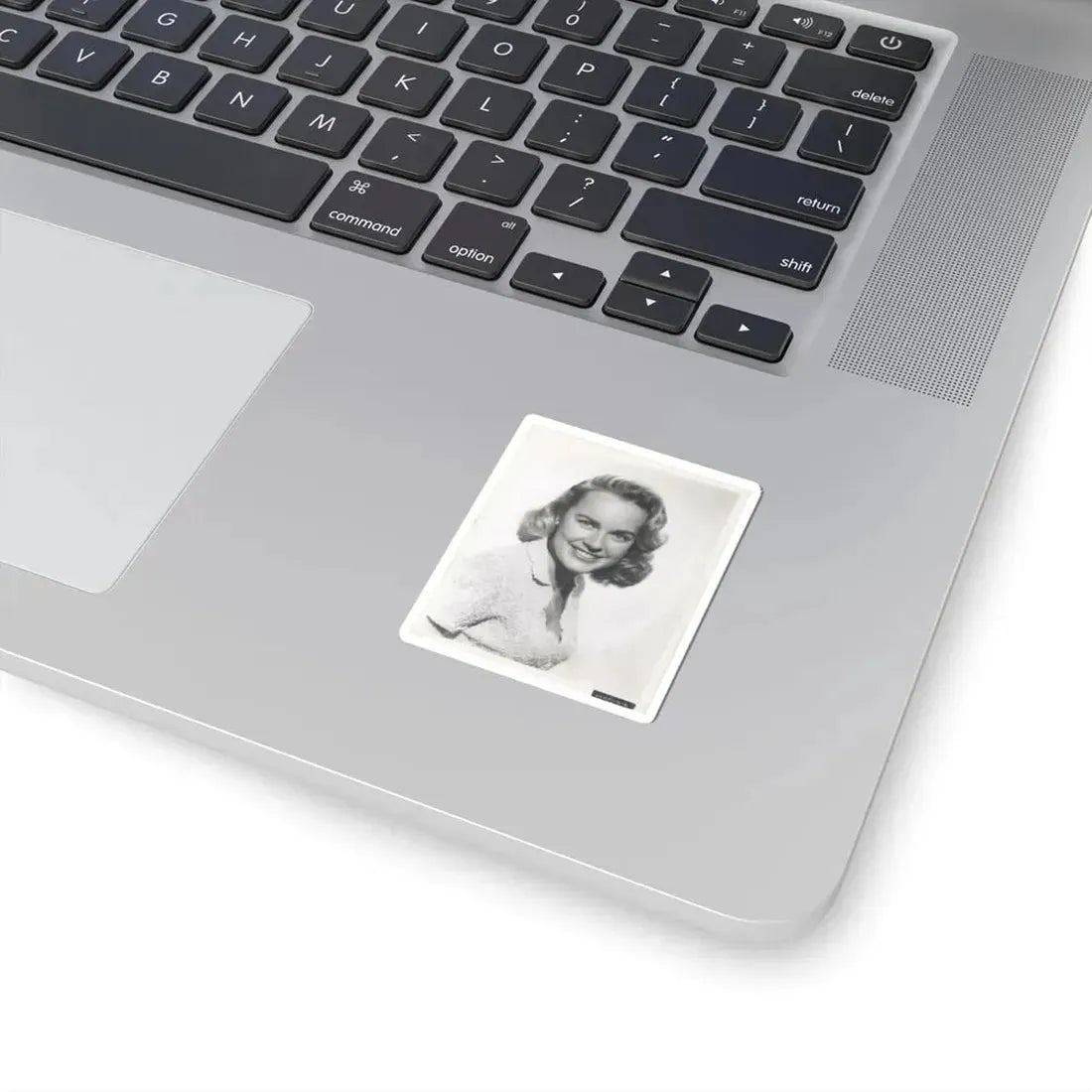 Terry Moore #673 (Vintage Female Icon) STICKER Vinyl Kiss-Cut Decal - The Sticker Space