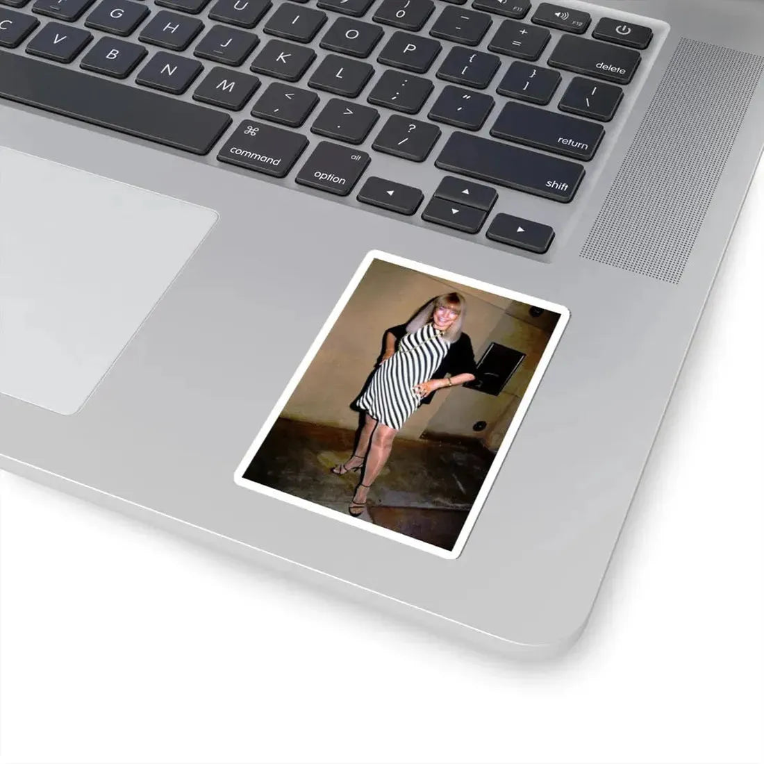 Terry Moore #674 (Vintage Female Icon) STICKER Vinyl Kiss-Cut Decal - The Sticker Space