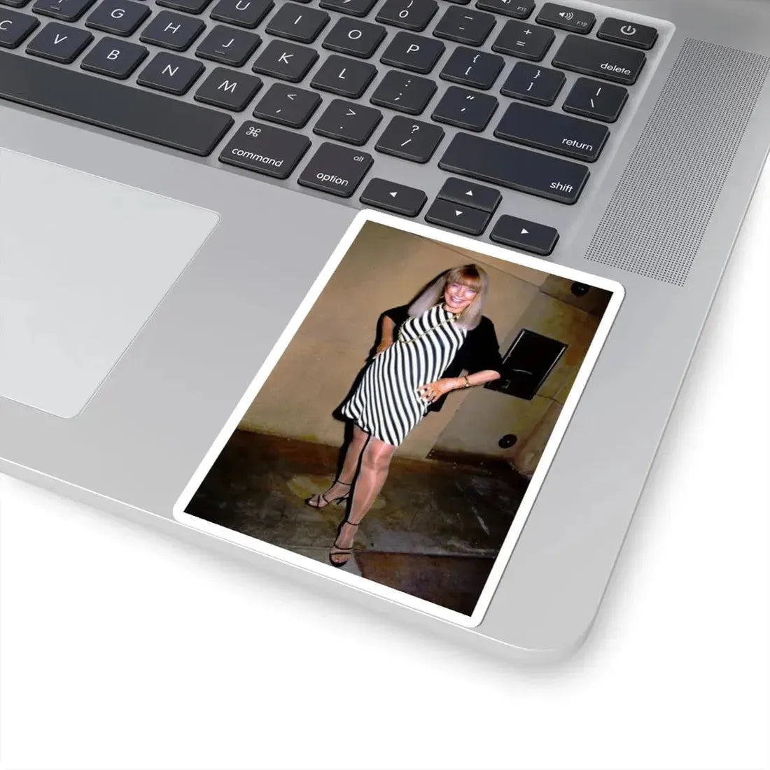 Terry Moore #674 (Vintage Female Icon) STICKER Vinyl Kiss-Cut Decal - The Sticker Space