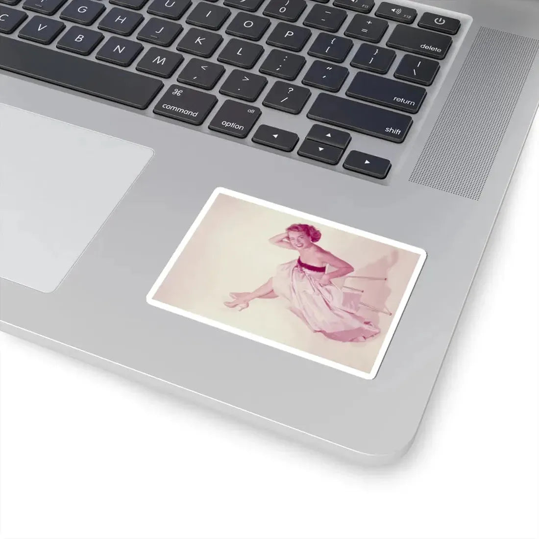 Terry Moore #684 (Vintage Female Icon) STICKER Vinyl Kiss-Cut Decal - The Sticker Space