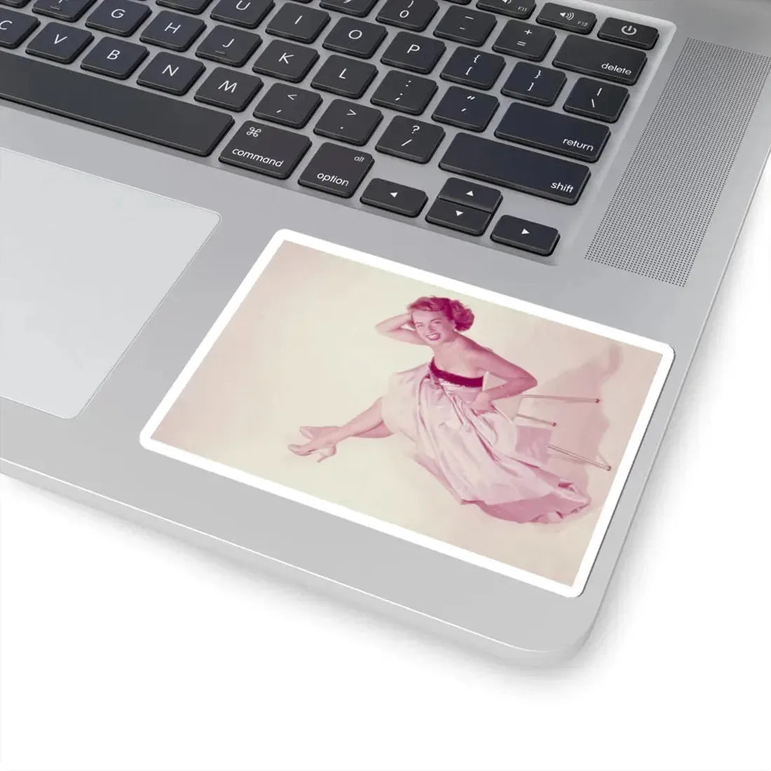 Terry Moore #684 (Vintage Female Icon) STICKER Vinyl Kiss-Cut Decal - The Sticker Space