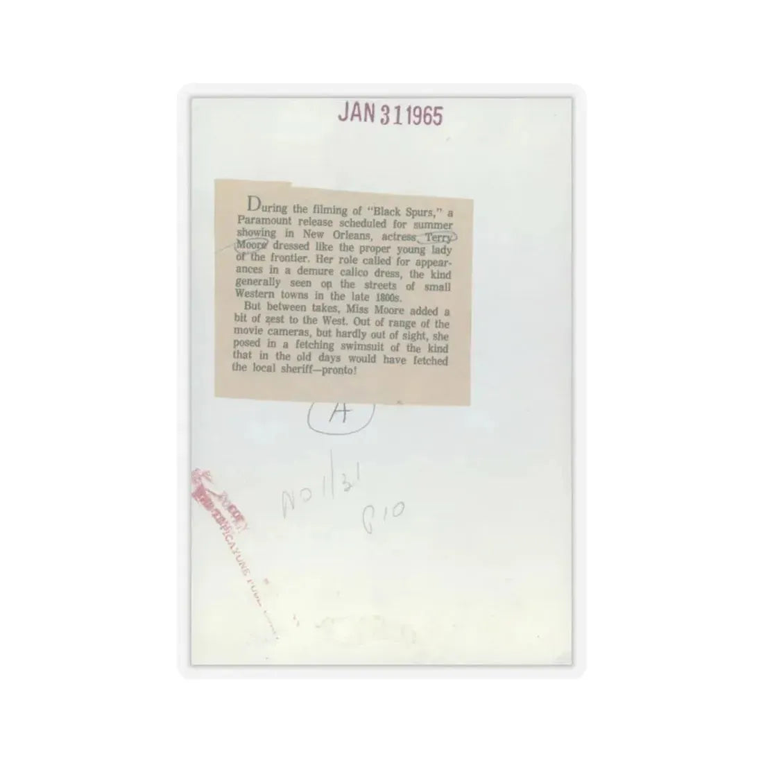 Terry Moore #7401 (Vintage Female Icon) STICKER Vinyl Kiss-Cut Decal 3 Inch Transparent - The Sticker Space