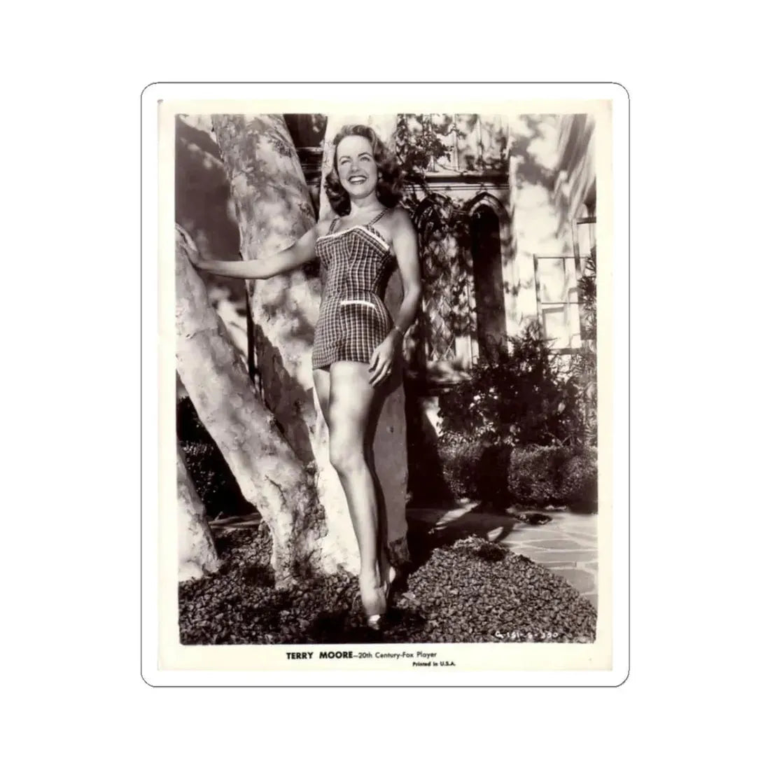 Terry Moore #96 (Vintage Female Icon) STICKER Vinyl Kiss-Cut Decal 3 Inch White - The Sticker Space