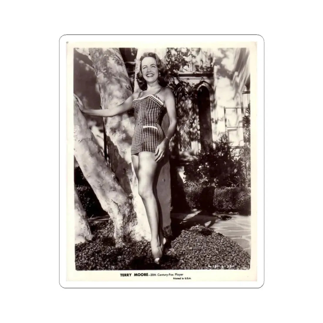 Terry Moore #96 (Vintage Female Icon) STICKER Vinyl Kiss-Cut Decal 6 Inch White - The Sticker Space