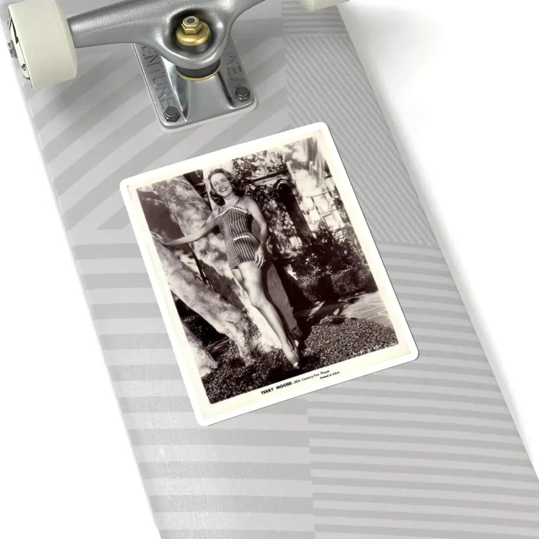 Terry Moore #96 (Vintage Female Icon) STICKER Vinyl Kiss-Cut Decal - The Sticker Space