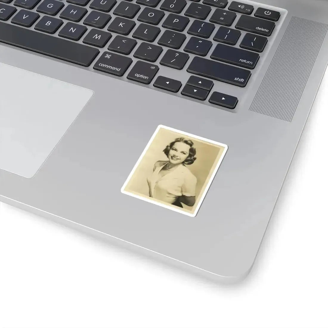 Terry Moore #97 (Vintage Female Icon) STICKER Vinyl Kiss-Cut Decal - The Sticker Space