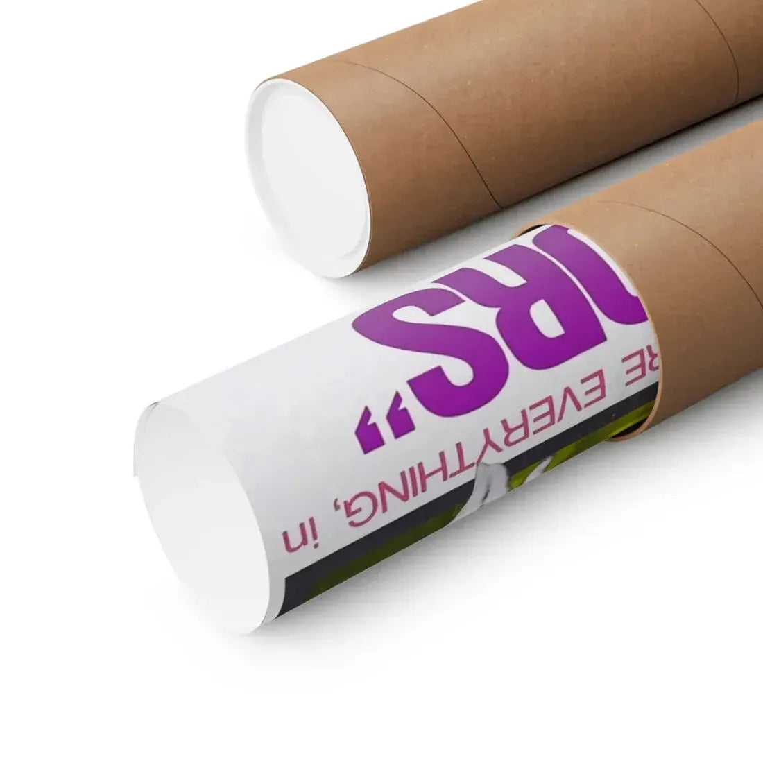 THE ABDUCTORS 1972 - Paper Movie Poster - The Sticker Space