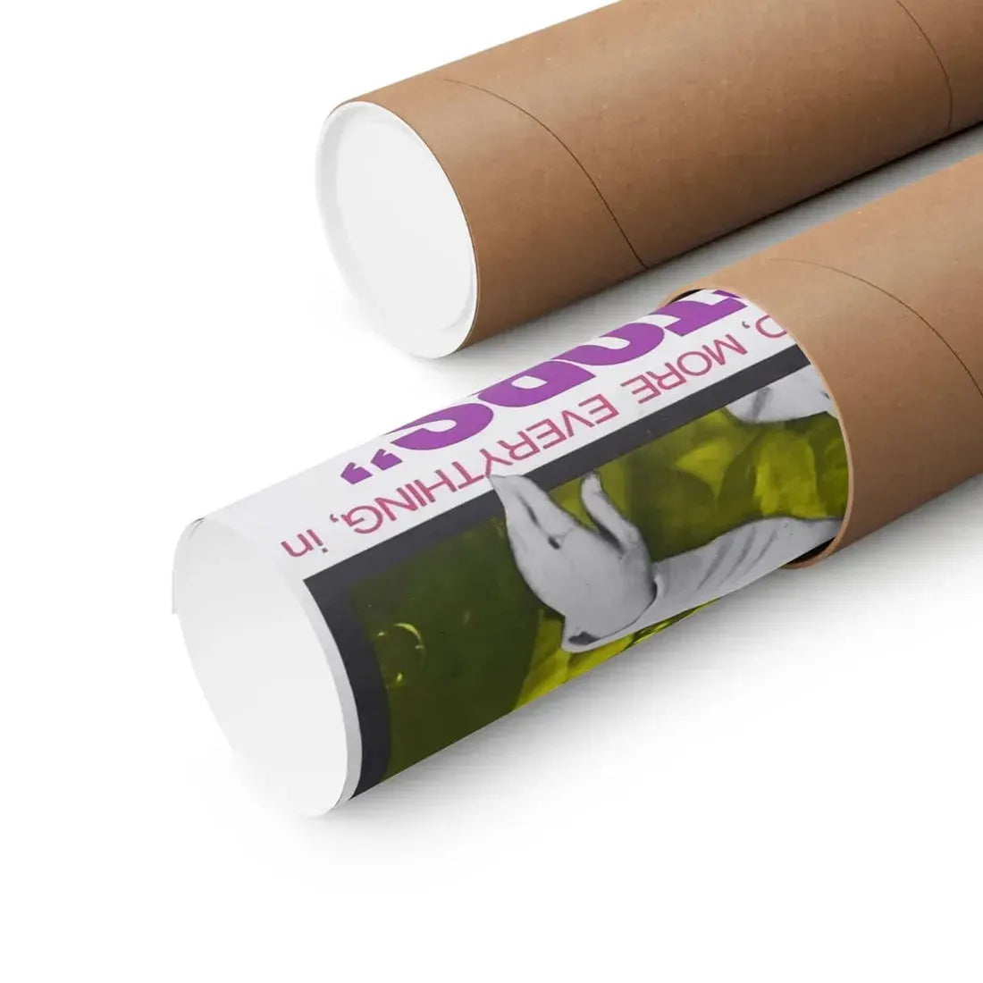 THE ABDUCTORS 1972 - Paper Movie Poster - The Sticker Space