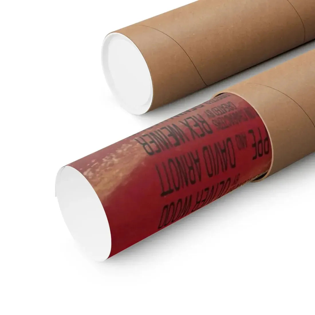 THE ADVENTURES OF FORD FAIRLANE 1990 - Paper Movie Poster - The Sticker Space