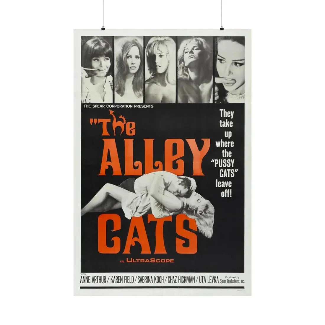 THE ALLEY CATS 1966 - Paper Movie Poster 36" x 54" Matte - The Sticker Space