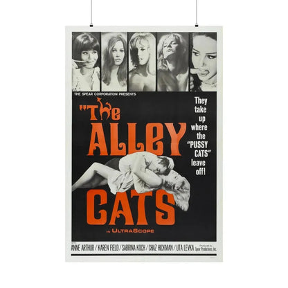 THE ALLEY CATS 1966 - Paper Movie Poster 36" x 54" Matte - The Sticker Space