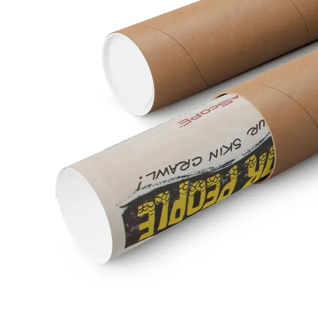 THE ALLIGATOR PEOPLE 1959 - Paper Movie Poster - The Sticker Space