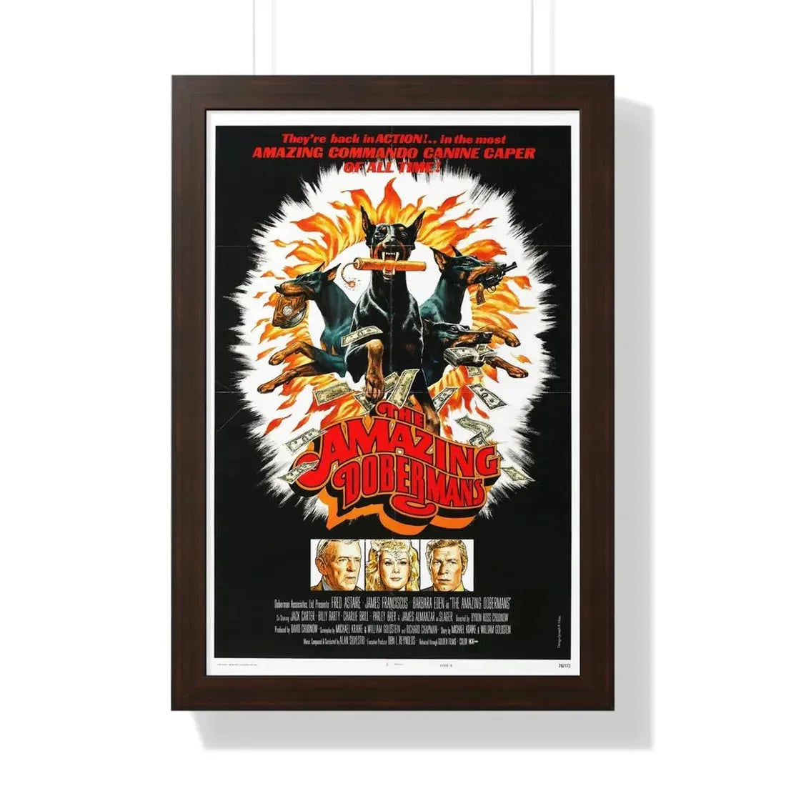 THE AMAZING DOBERMANS 1976 - Framed Movie Poster 16″ x 24″ Walnut - The Sticker Space
