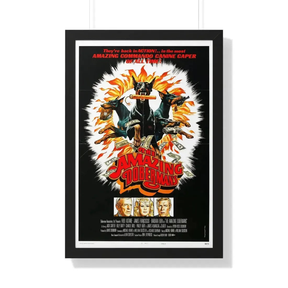 THE AMAZING DOBERMANS 1976 - Framed Movie Poster 20" x 30" Black - The Sticker Space