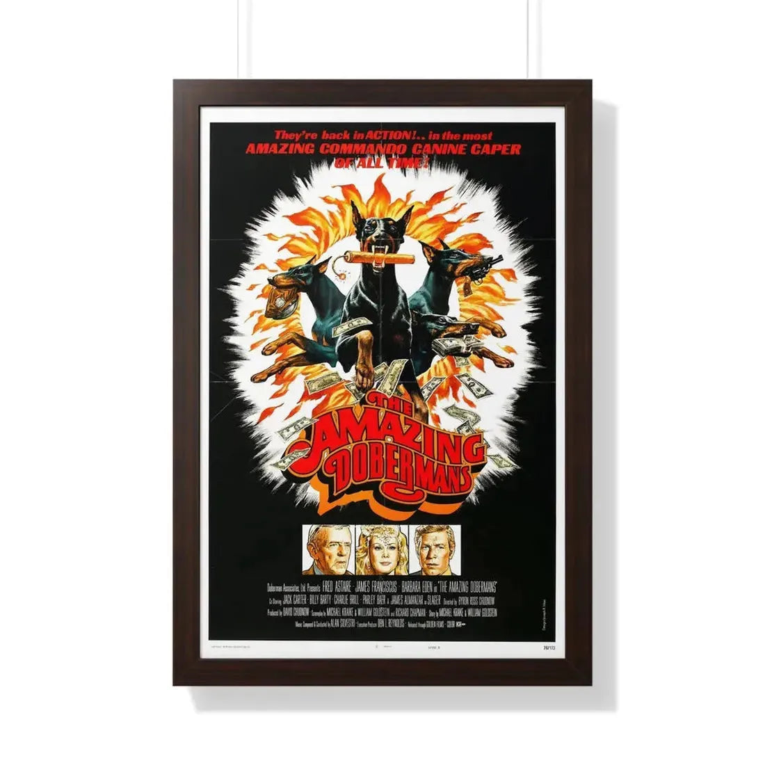 THE AMAZING DOBERMANS 1976 - Framed Movie Poster 20" x 30" Walnut - The Sticker Space