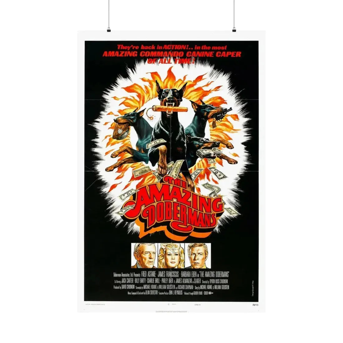 THE AMAZING DOBERMANS 1976 - Paper Movie Poster 36" x 54" Matte - The Sticker Space