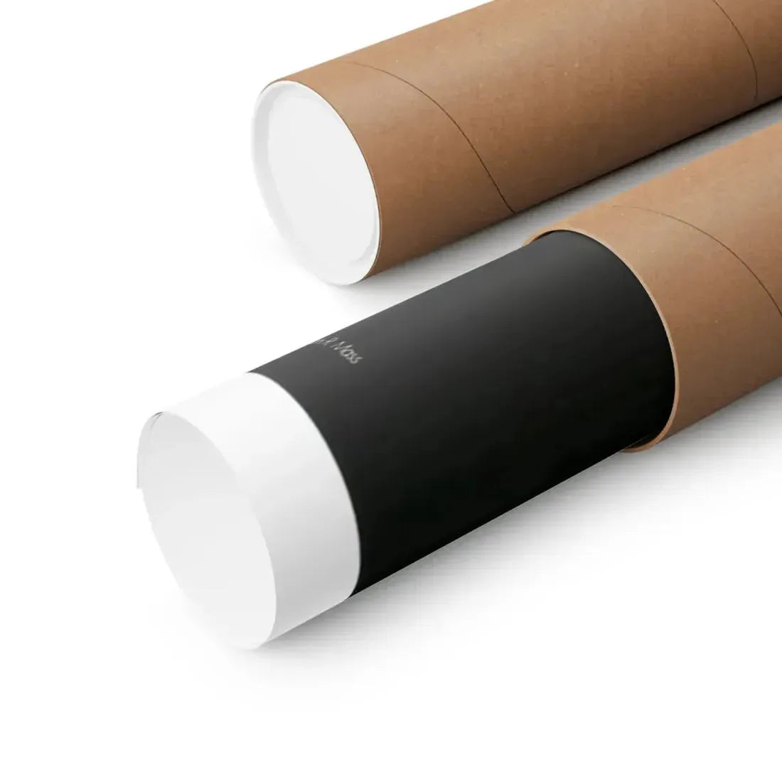 THE AMAZING DOBERMANS 1976 - Paper Movie Poster - The Sticker Space