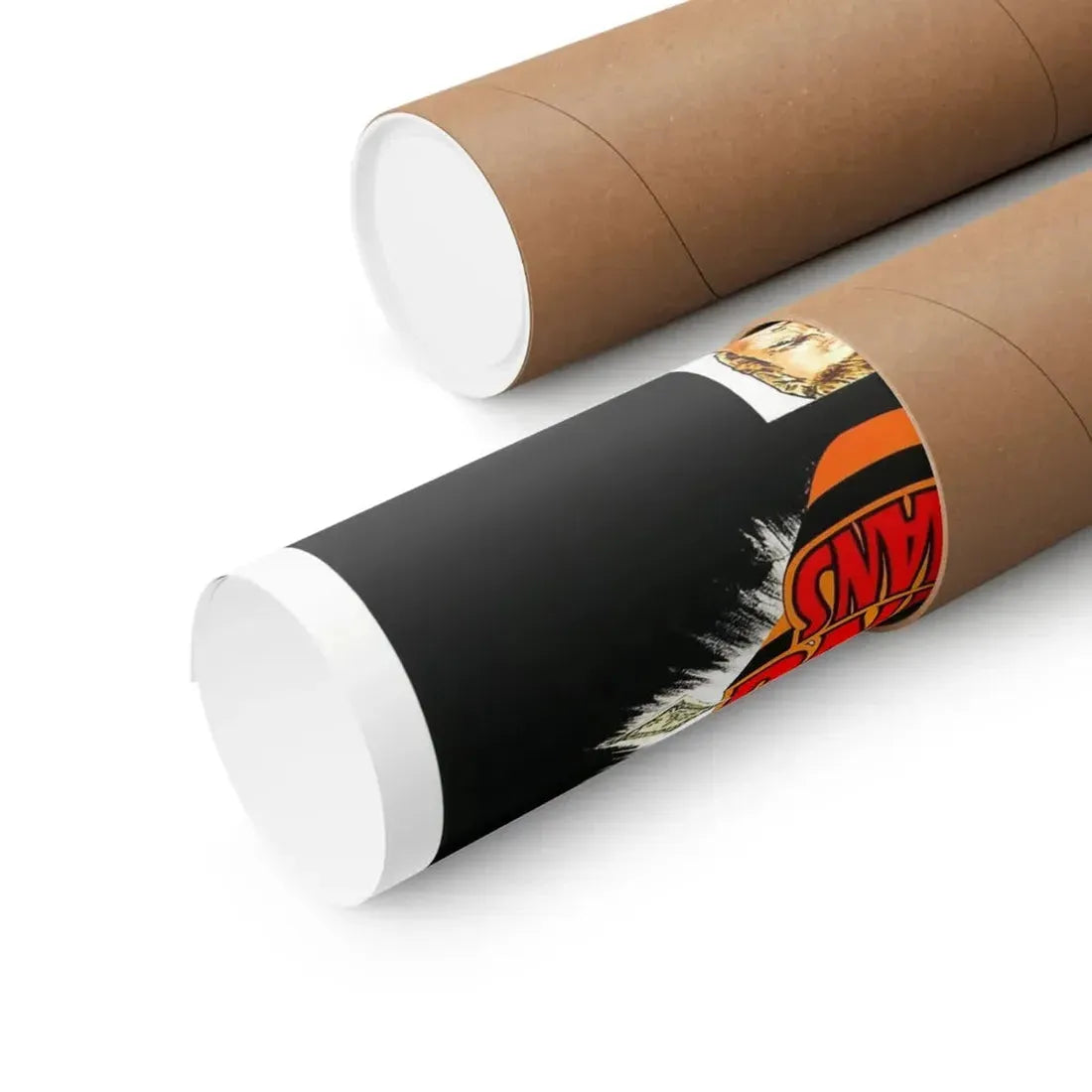 THE AMAZING DOBERMANS 1976 - Paper Movie Poster - The Sticker Space