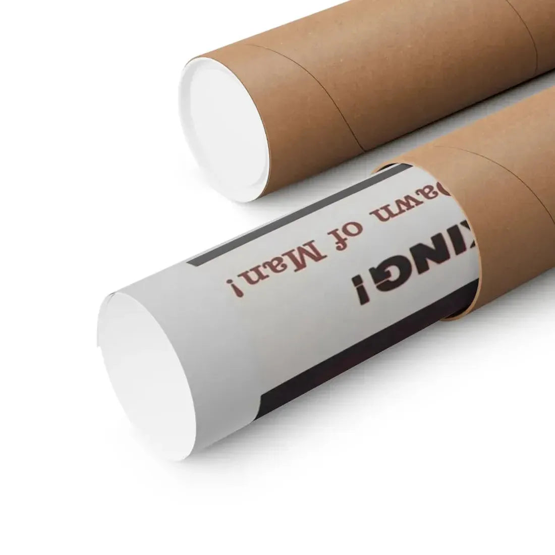 THE ANIMAL WORLD 1956 - Paper Movie Poster - The Sticker Space