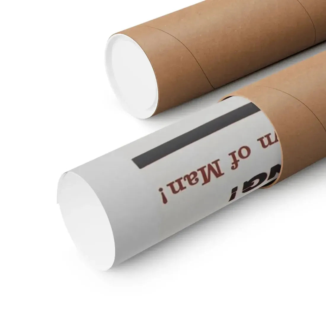 THE ANIMAL WORLD 1956 - Paper Movie Poster - The Sticker Space