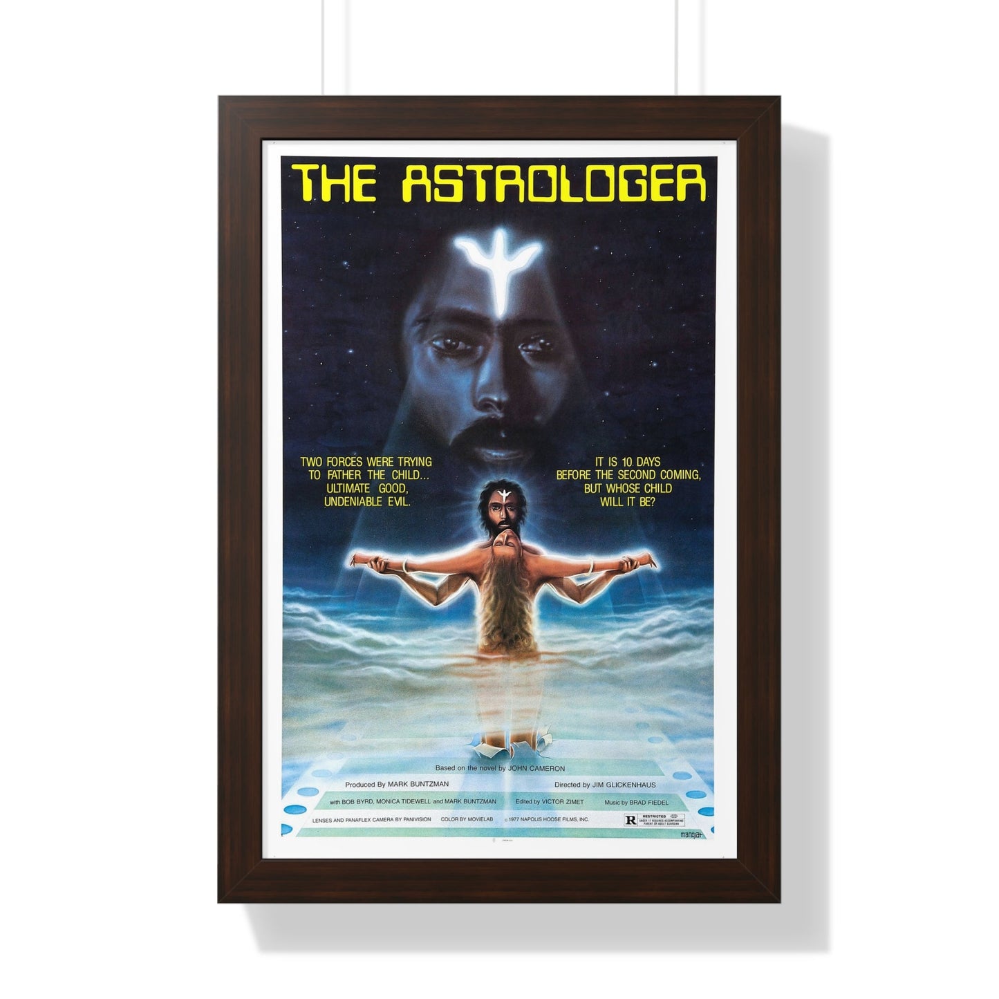 THE ASTROLOGER 1976 - Framed Movie Poster-16″ x 24″-The Sticker Space