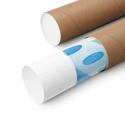 THE ASTROLOGER 1976 - Paper Movie Poster - The Sticker Space