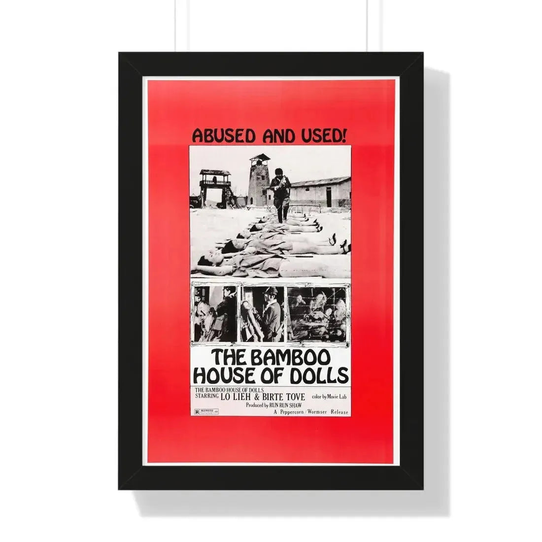 THE BAMBOO HOUSE OF DOLLS 1973 - Framed Movie Poster 16″ x 24″ Black - The Sticker Space