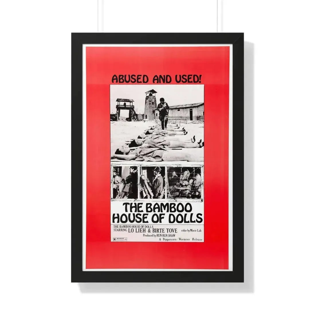 THE BAMBOO HOUSE OF DOLLS 1973 - Framed Movie Poster 20" x 30" Black - The Sticker Space