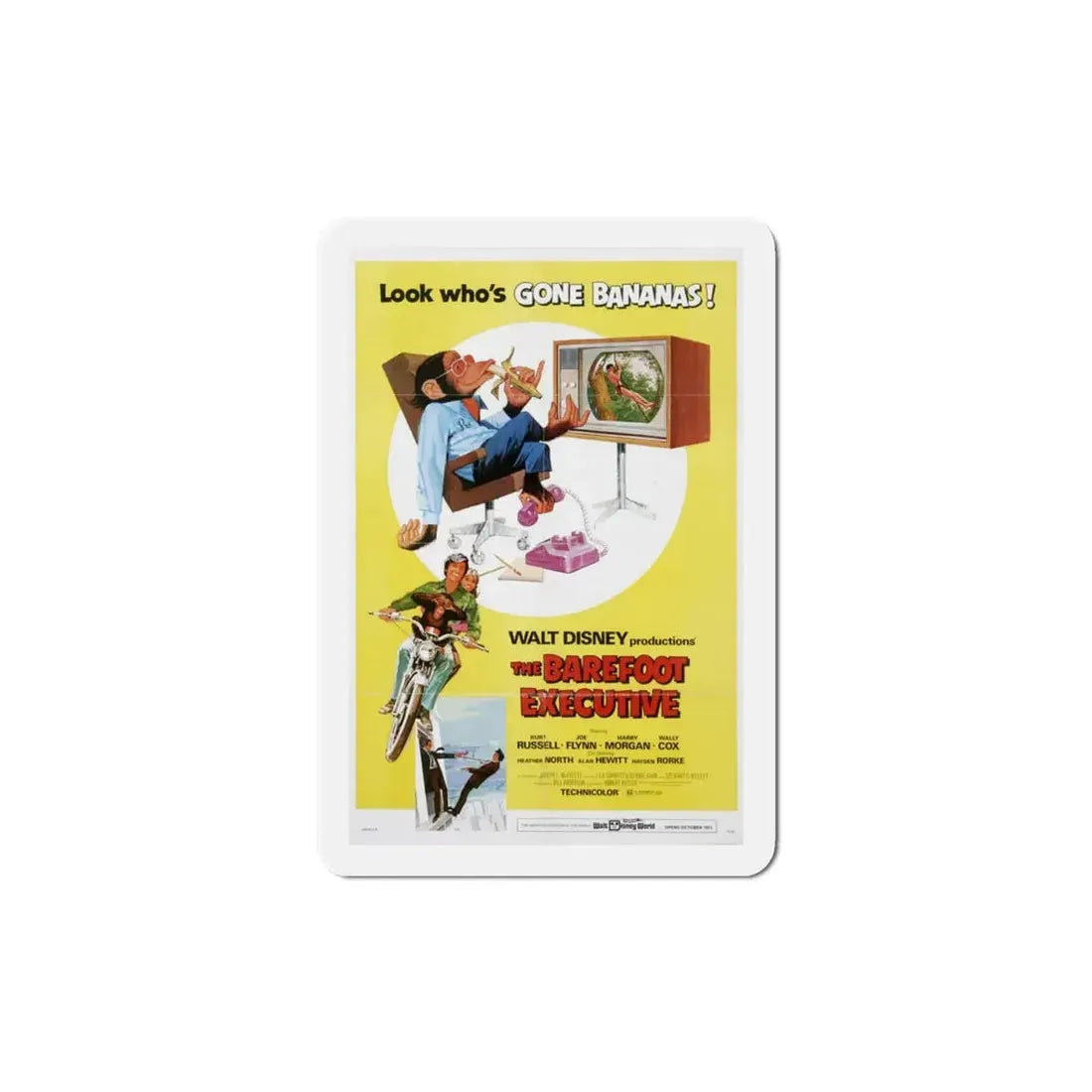 The Barefoot Executive 1971 Movie Poster Refrigerator Magnet 4 Inch - The Sticker Space