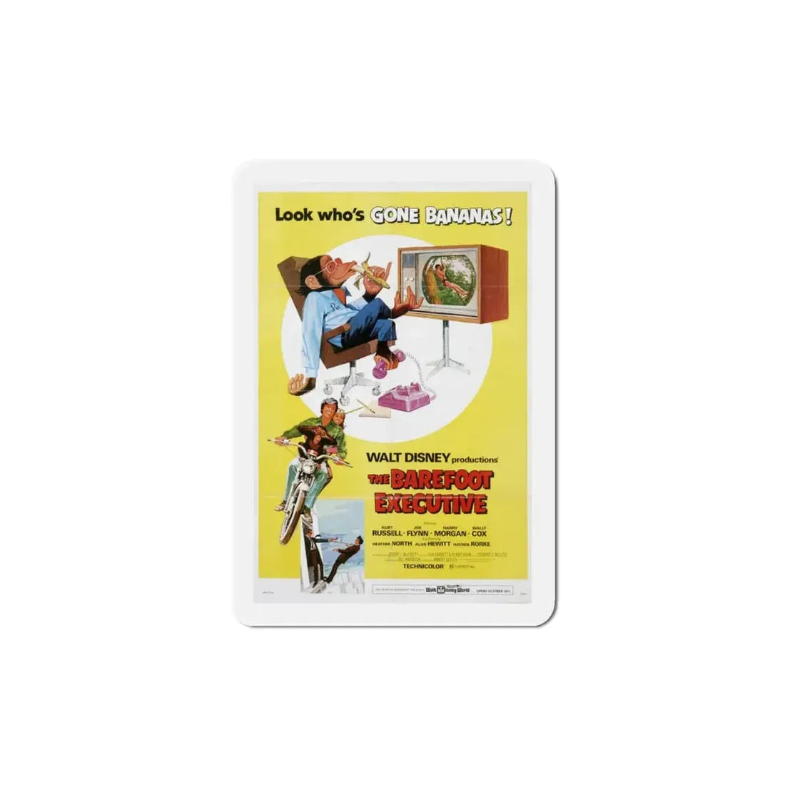 The Barefoot Executive 1971 Movie Poster Refrigerator Magnet 5 Inch - The Sticker Space