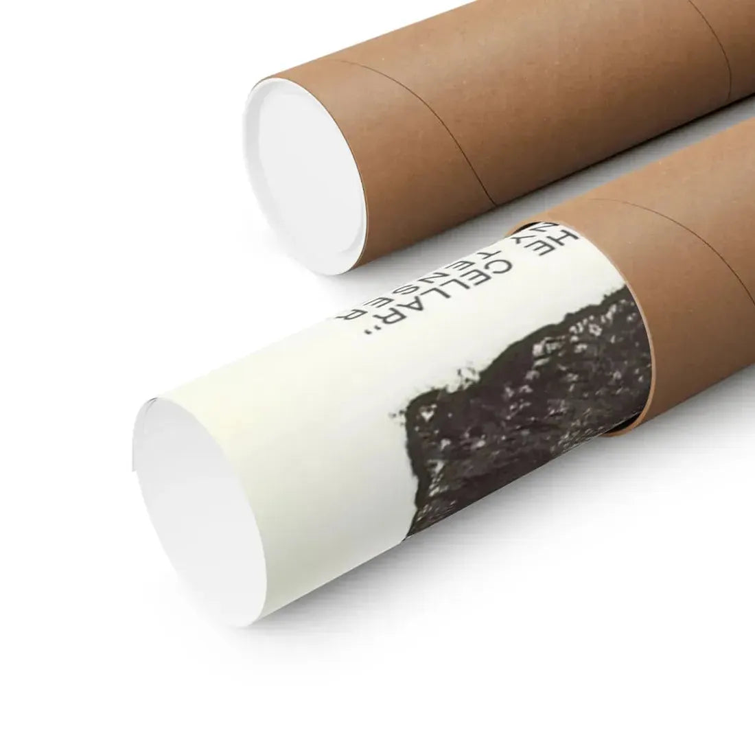 THE BEAST IN THE CELLAR 1971 - Paper Movie Poster - The Sticker Space